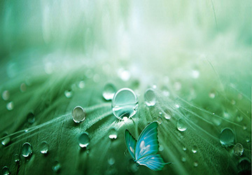 建筑防水行業(yè)“質(zhì)量提升萬里行”活動(dòng)啟動(dòng)儀式在京舉行